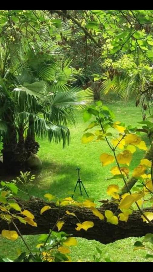 Hotel Les Jardins Du Patriarche Hotel 2*
