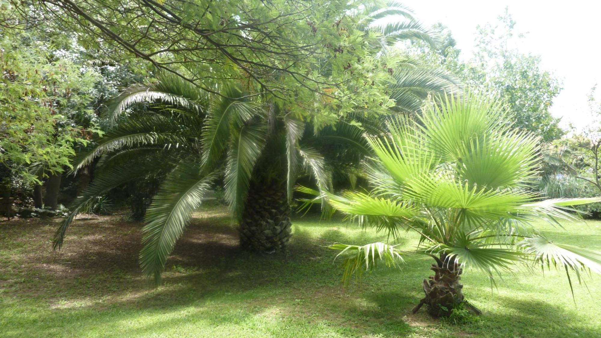 Hotel Les Jardins Du Patriarche Hotel 2*