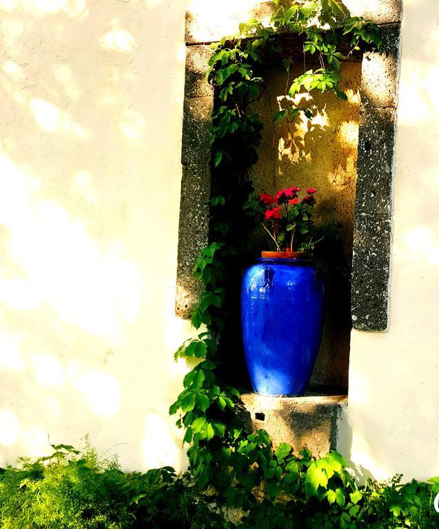 Hotel Les Jardins Du Patriarche Hotel Agde