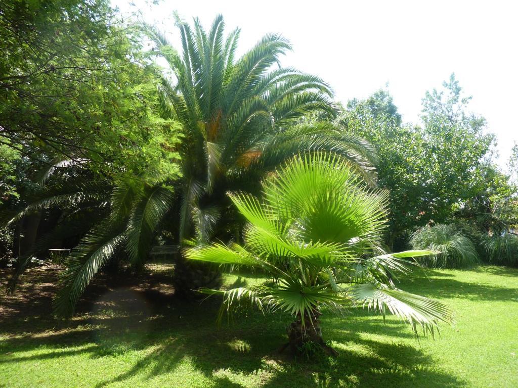 Les Jardins Du Patriarche Hotel 2*